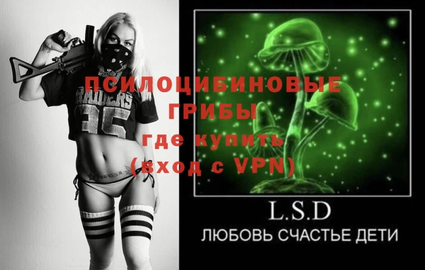 МДПВ Богданович