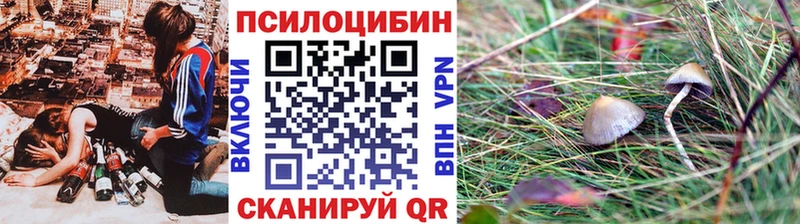 закладка  MEGA ONION  Галлюциногенные грибы прущие грибы  Севск 